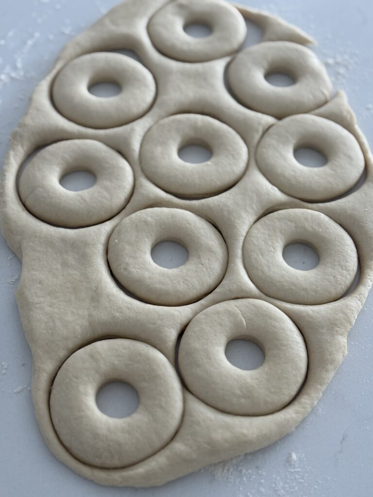 Cut-out donut shapes on rolled dough before the second rise.